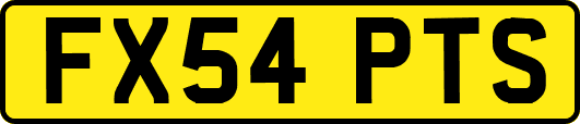 FX54PTS
