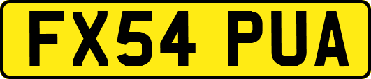FX54PUA
