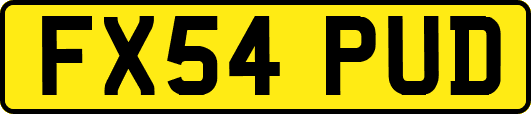 FX54PUD