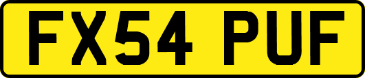 FX54PUF