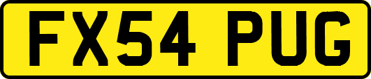 FX54PUG