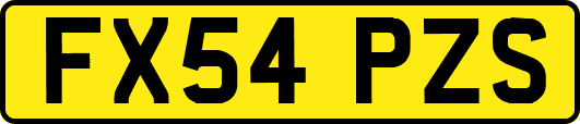 FX54PZS