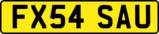 FX54SAU
