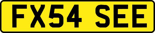 FX54SEE