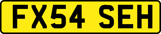 FX54SEH