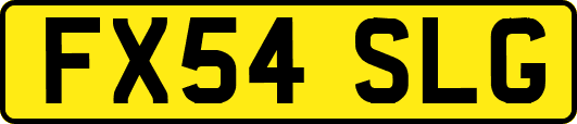 FX54SLG