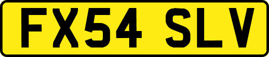 FX54SLV