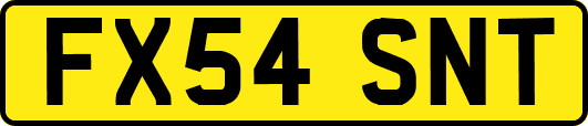 FX54SNT