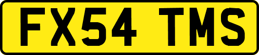 FX54TMS