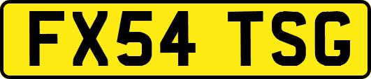 FX54TSG