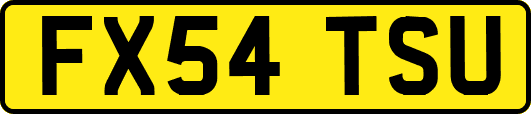 FX54TSU
