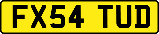 FX54TUD