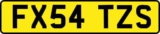 FX54TZS