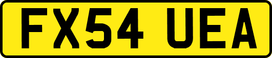 FX54UEA