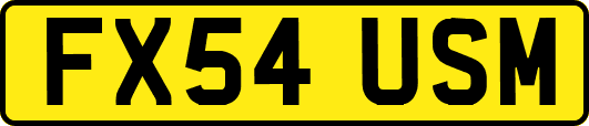 FX54USM