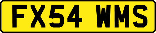FX54WMS