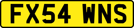 FX54WNS