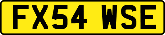 FX54WSE