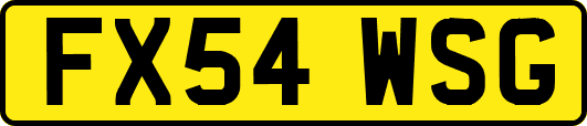 FX54WSG
