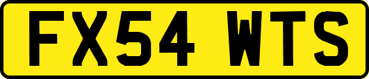 FX54WTS