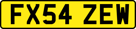 FX54ZEW