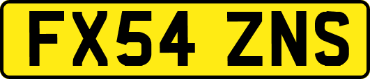 FX54ZNS
