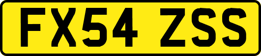 FX54ZSS
