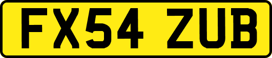 FX54ZUB