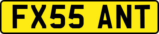 FX55ANT