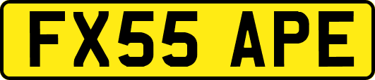 FX55APE