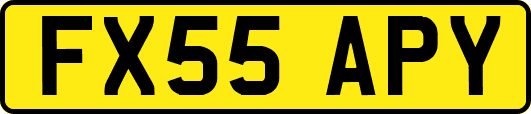 FX55APY