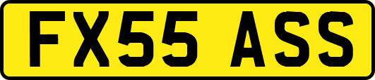 FX55ASS