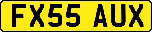 FX55AUX