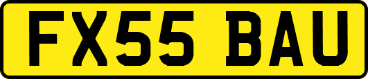 FX55BAU