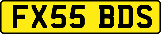 FX55BDS