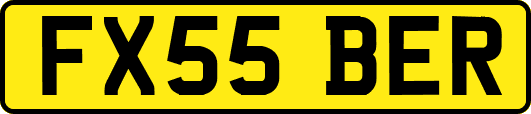 FX55BER