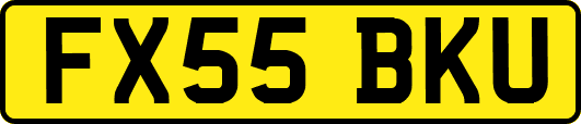 FX55BKU