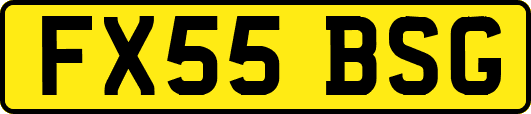 FX55BSG