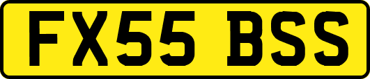 FX55BSS