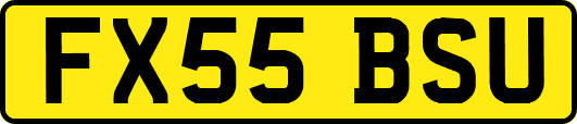 FX55BSU