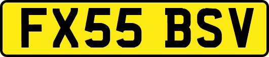 FX55BSV