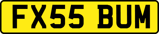 FX55BUM