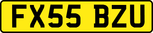 FX55BZU