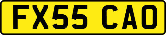 FX55CAO