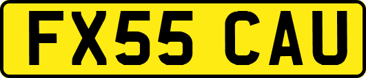 FX55CAU