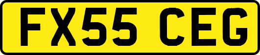 FX55CEG