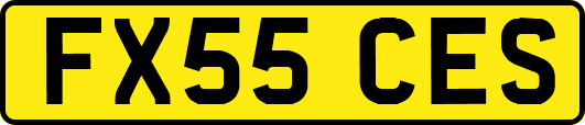 FX55CES