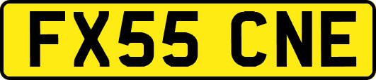 FX55CNE