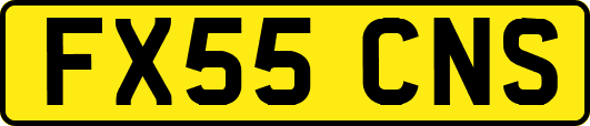 FX55CNS