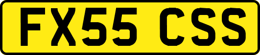 FX55CSS